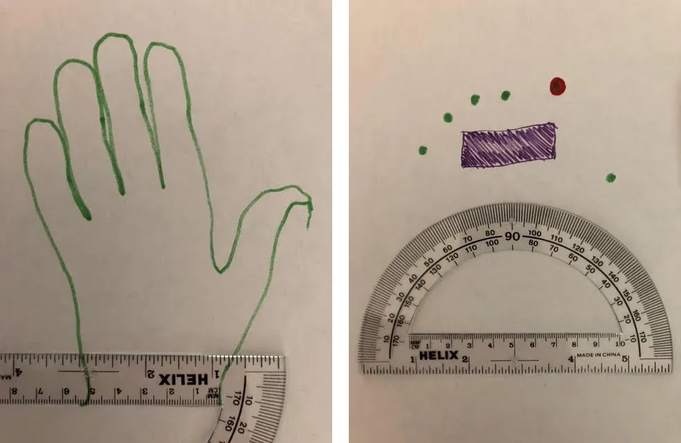 Two sheets of paper. On the left, a traced outline of a left hand with a ruler along the wrist. On the right, green dots mark where each fingertip could reach around a shaded purple rectangle, one red dot, and a protractor below for measuring angles.